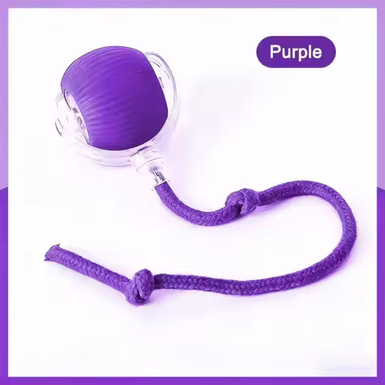 Self-Rolling Interactive Pet Toy Ball (Purple)