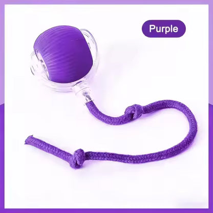 Self-Rolling Interactive Pet Toy Ball (Purple)