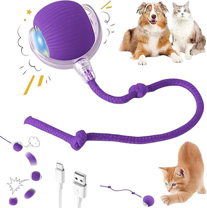 Self-Rolling Interactive Pet Toy Ball (Purple)