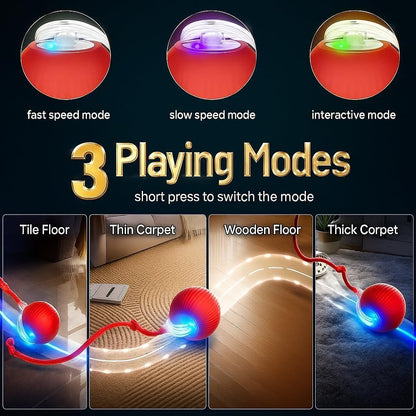 Self-Rolling Interactive Pet Toy Ball (Purple)
