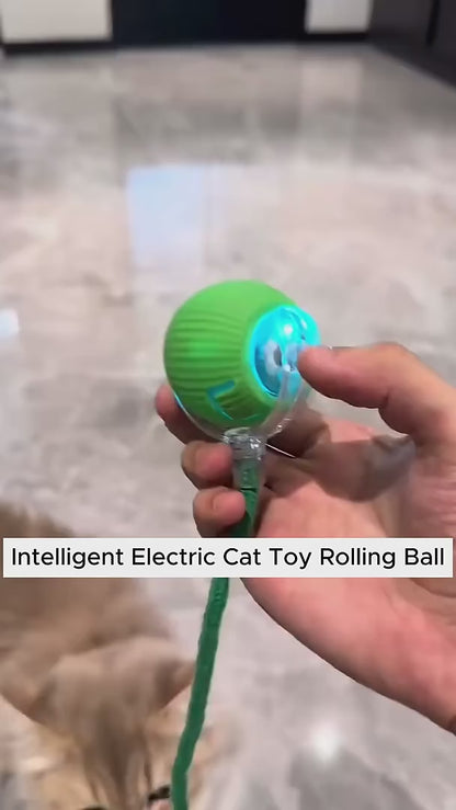 Self-Rolling Interactive Pet Toy Ball (Purple)