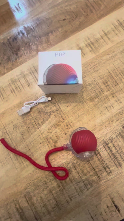 Self-Rolling Interactive Pet Toy Ball (Purple)